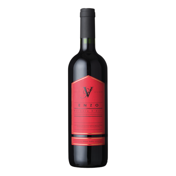 Villa SuSti ENZO 2017