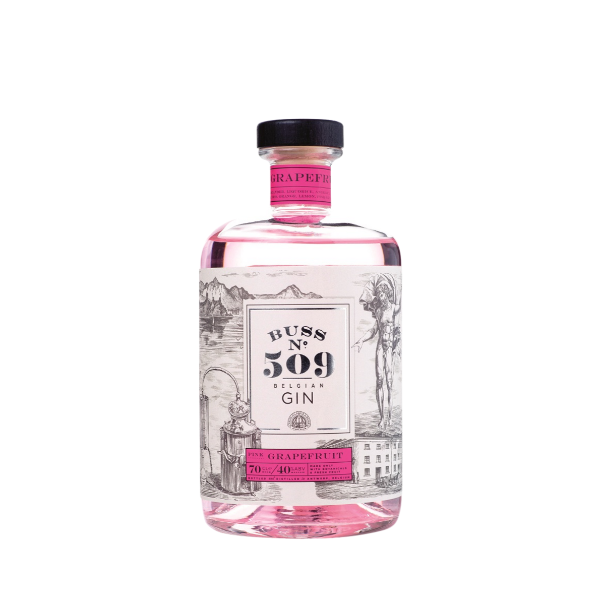 Buss No 509 Pink Grapefruit Gin 700ml Buss Spirits SAJ Vine ApS