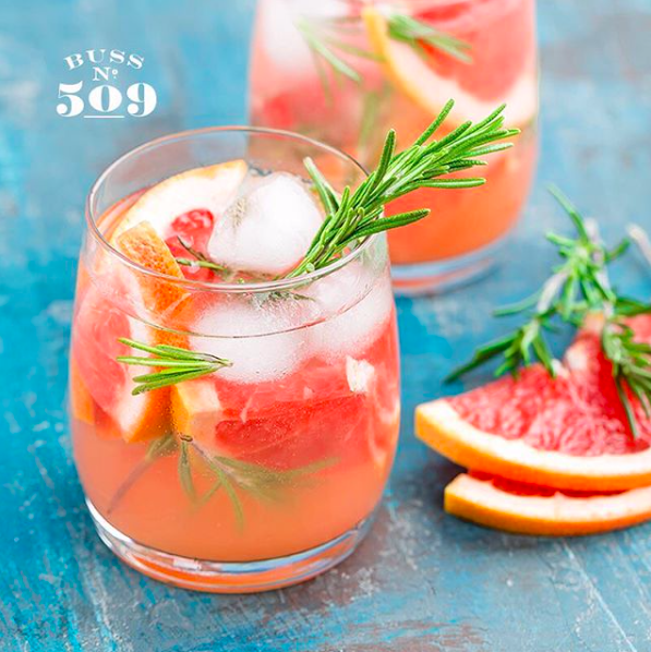 Buss No. 509 Pink Grapefruit Gin