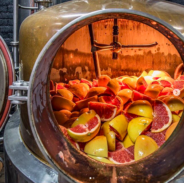 Buss No. 509 Pink Grapefruit Gin