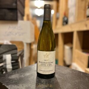 Domaine Michelot Bourgogne Côte d'Or 2017