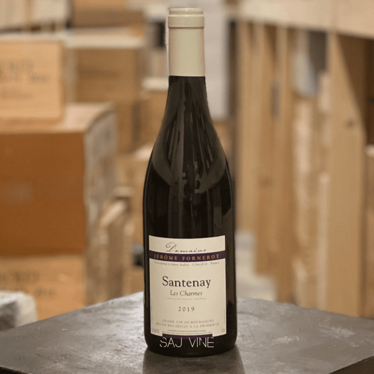 Domaine Jeròme Fornerot Santenay Les Charmes 2019