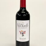 ValSotillo Finca Buenavista 2020 – Ribera del Duero, Spanien