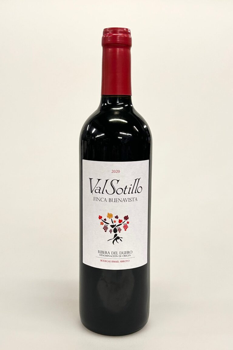 ValSotillo Finca Buenavista 2020 – Ribera del Duero, Spanien